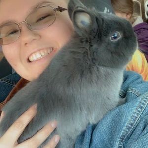 Meet your Posher, Diamond